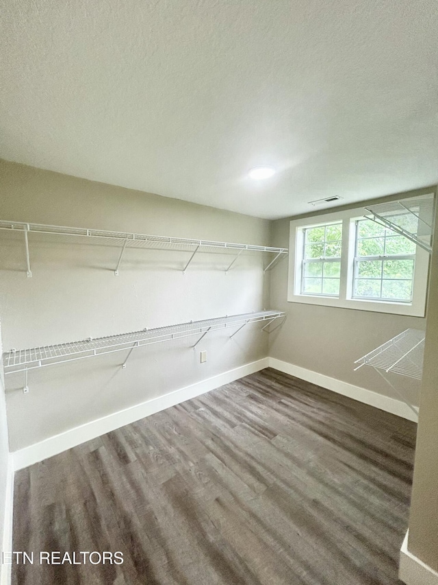 spacious closet featuring wood-type flooring