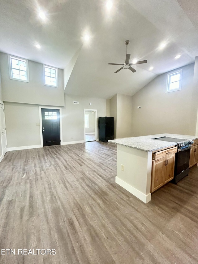 kitchen with light stone counters, stainless steel range with electric stovetop, vaulted ceiling, light hardwood / wood-style flooring, and ceiling fan