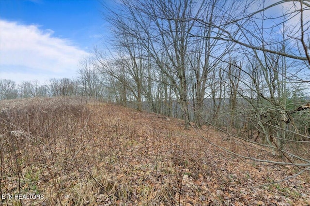 Listing photo 3 for Wilderness Ridge Ln, Pioneer TN 37847