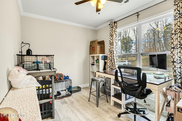 office featuring ceiling fan, ornamental molding, and light wood-type flooring