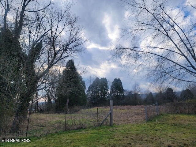 view of yard featuring a rural view