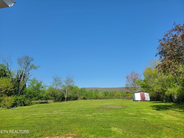 940 Cemetery Rd, Spring City, TN 37381 - photo 6