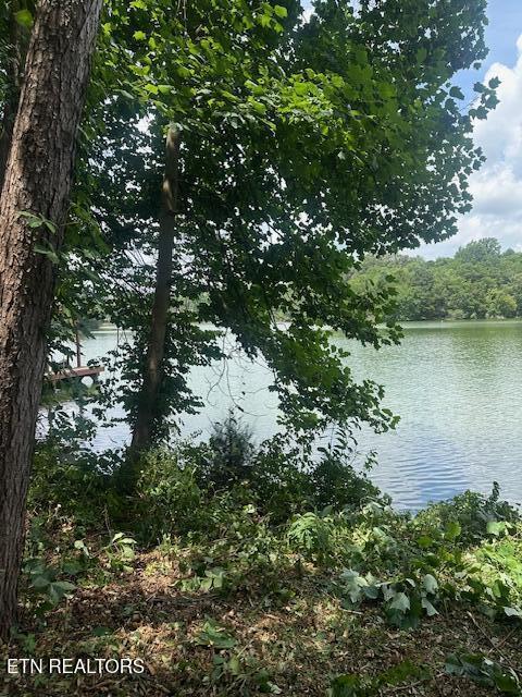 317 Inagehi Ln, Loudon, TN 37774 - photo 1