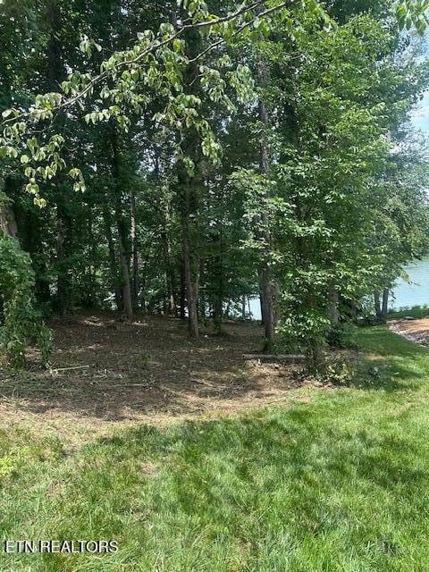 317 Inagehi Ln, Loudon, TN 37774 - photo 2