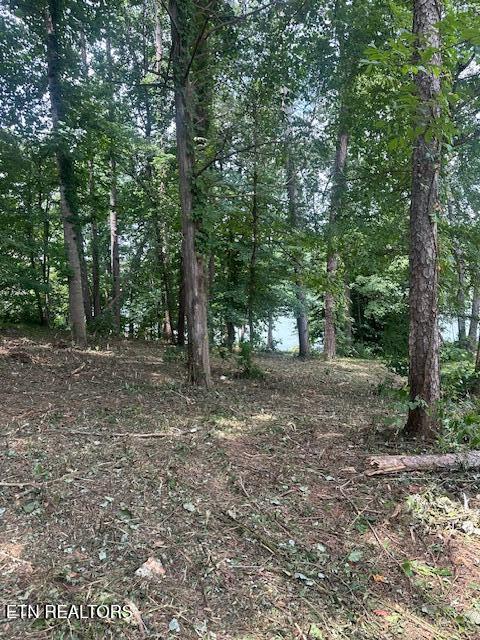 317 Inagehi Ln, Loudon, TN 37774 - photo 3