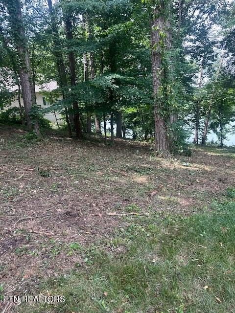 317 Inagehi Ln, Loudon, TN 37774 - photo 4