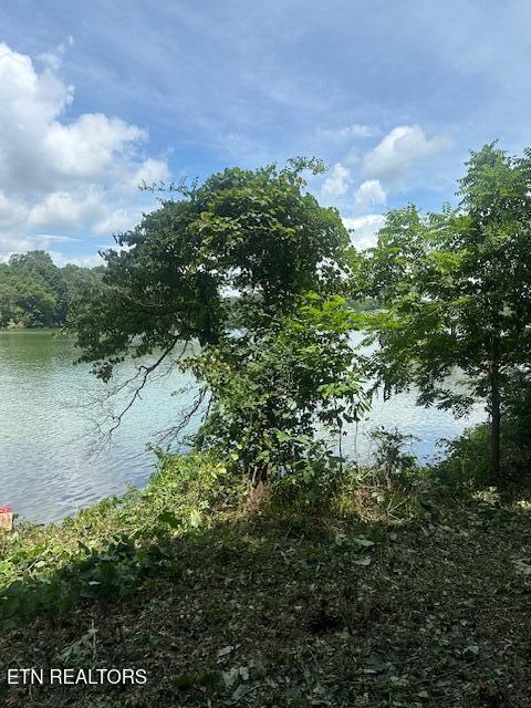 317 Inagehi Ln, Loudon, TN 37774 - photo 5