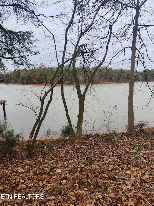 317 Inagehi Ln, Loudon, TN 37774 - photo 7