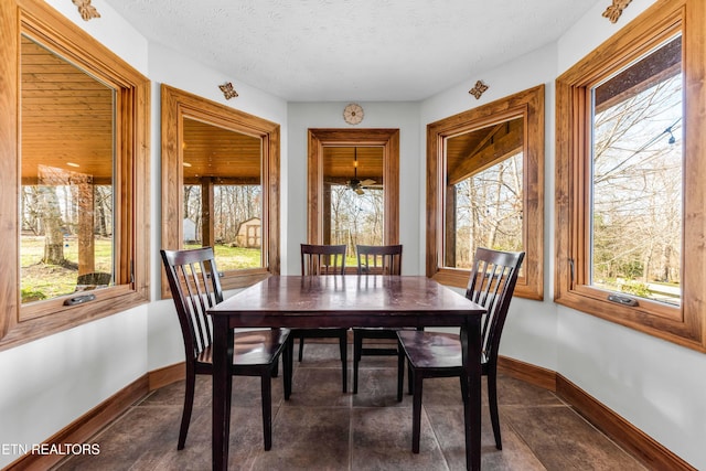 dining area with a healthy amount of sunlight and a textured ceiling