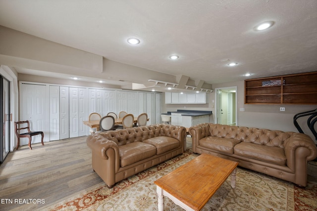 living room with a textured ceiling and light wood-type flooring