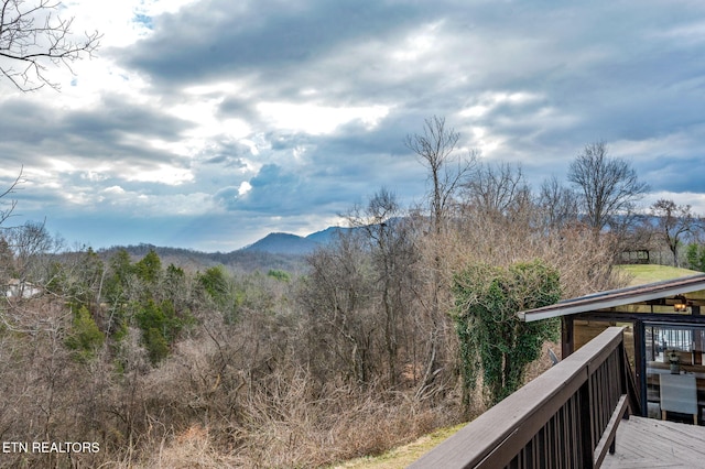 property view of mountains