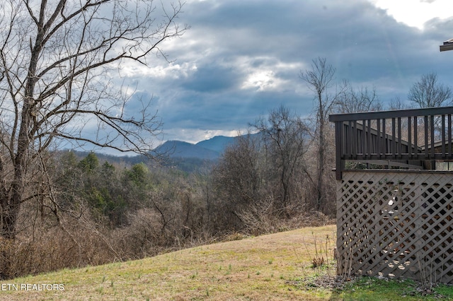 view of mountain feature