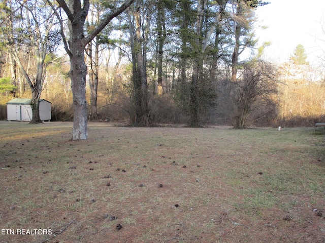 view of yard featuring a shed