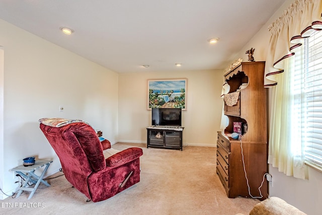 sitting room with carpet flooring