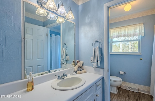 bathroom featuring vanity, hardwood / wood-style flooring, and toilet