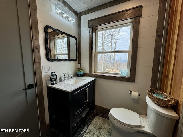 550 Steer Creek Rd, Tellico Plains, TN 37385 - bathroom featuring vanity, wooden walls, and toilet