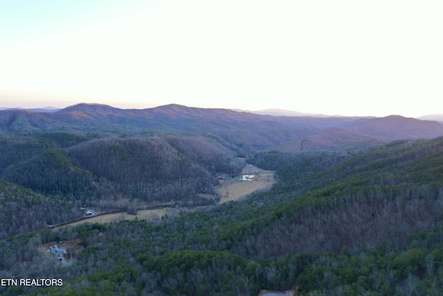 550 Steer Creek Rd, Tellico Plains, TN 37385 - view of mountain feature