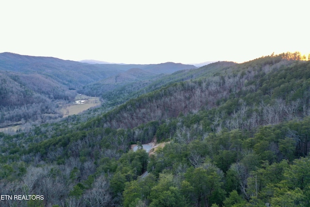 550 Steer Creek Rd, Tellico Plains, TN 37385 - mountain view