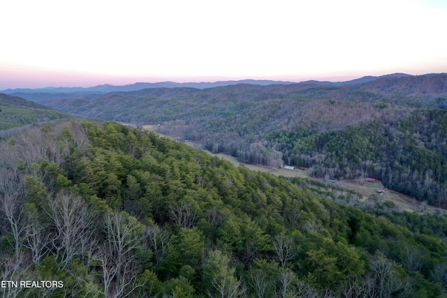 550 Steer Creek Rd, Tellico Plains, TN 37385 - aerial view at dusk featuring a mountain view