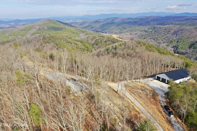 550 Steer Creek Rd, Tellico Plains, TN 37385 - bird's eye view with a mountain view