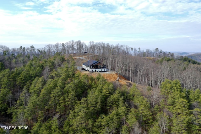 550 Steer Creek Rd, Tellico Plains, TN 37385 - drone / aerial view