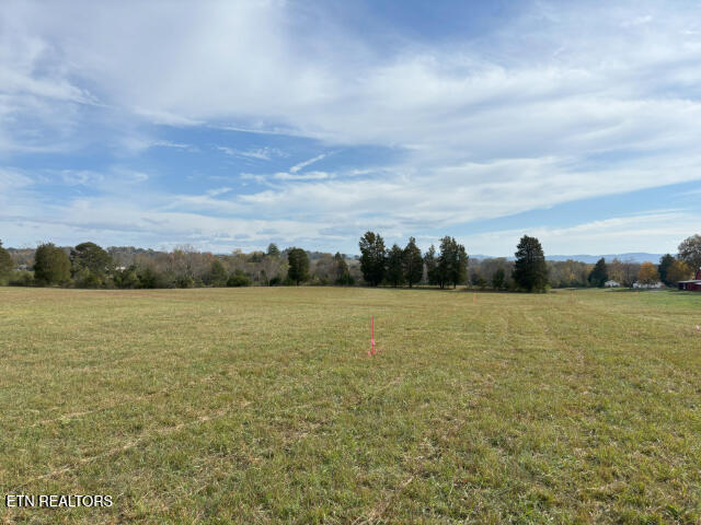 view of nature featuring a rural view