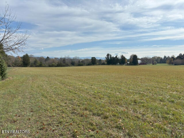 view of local wilderness with a rural view