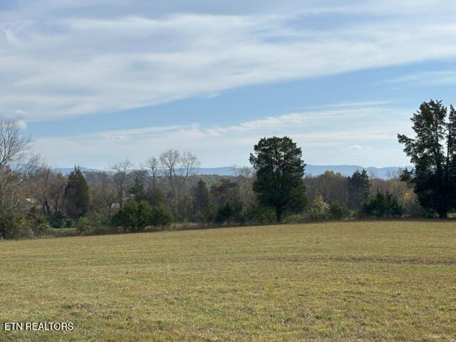 view of yard featuring a rural view