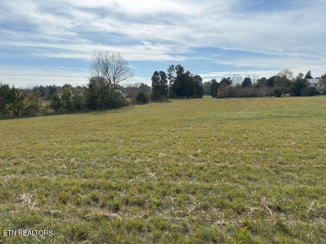 view of landscape featuring a rural view