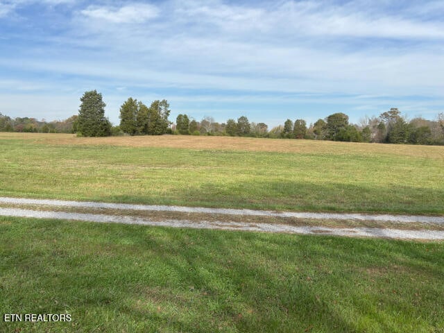 view of yard featuring a rural view