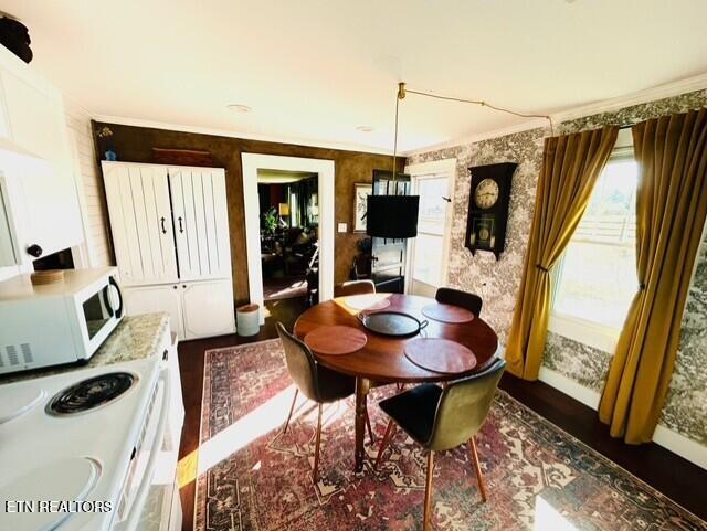 dining room featuring dark wood-type flooring and ornamental molding