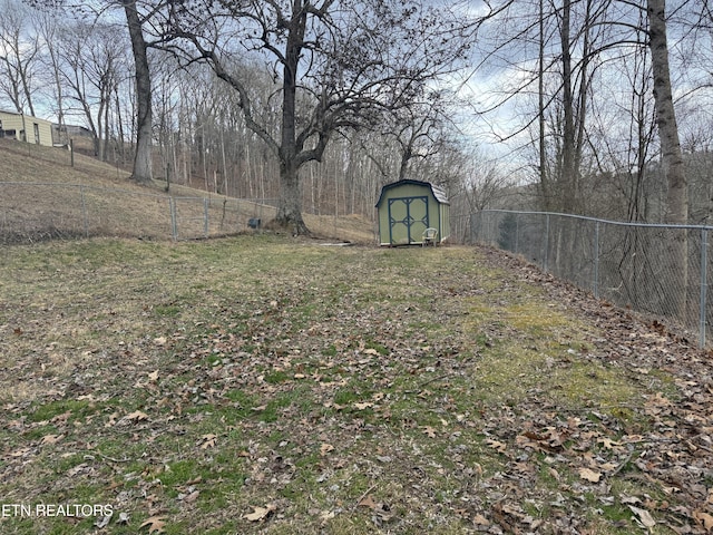 view of yard featuring a shed