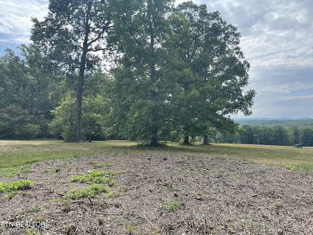 view of landscape