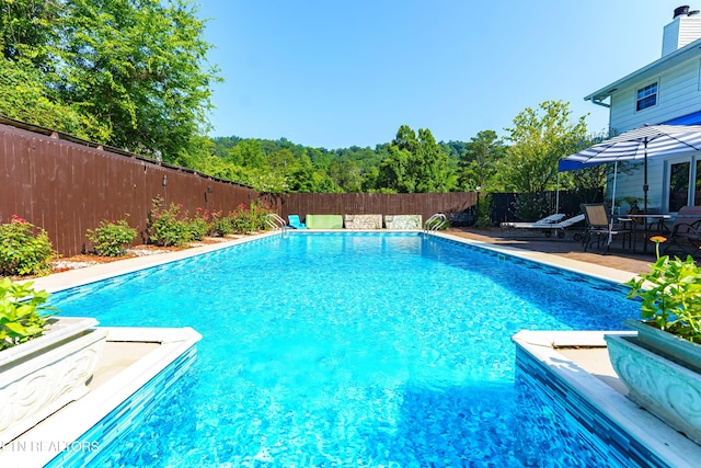 6515 Mcfall Rd, Knoxville, TN 37918 - photo 26