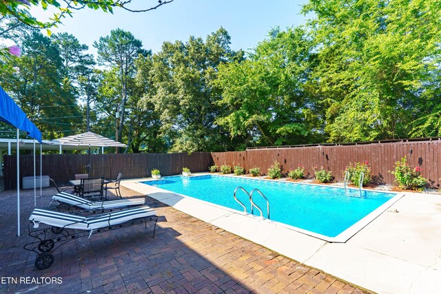 6515 Mcfall Rd, Knoxville, TN 37918 - photo 27