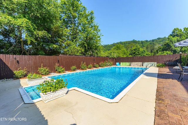 6515 Mcfall Rd, Knoxville, TN 37918 - photo 28