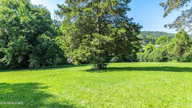 6515 Mcfall Rd, Knoxville, TN 37918 - photo 29