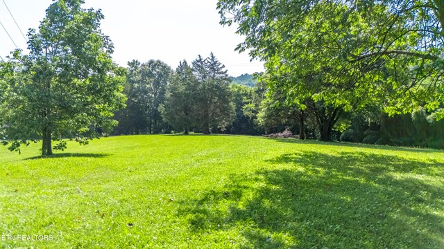 6515 Mcfall Rd, Knoxville, TN 37918 - photo 30
