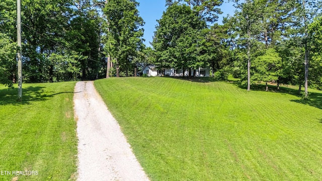 6515 Mcfall Rd, Knoxville, TN 37918 - photo 31