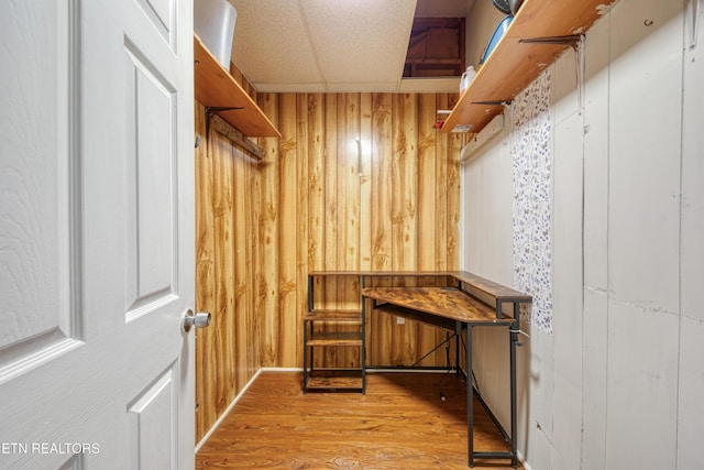 walk in closet featuring a paneled ceiling and light hardwood / wood-style floors