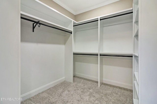 walk in closet with light carpet