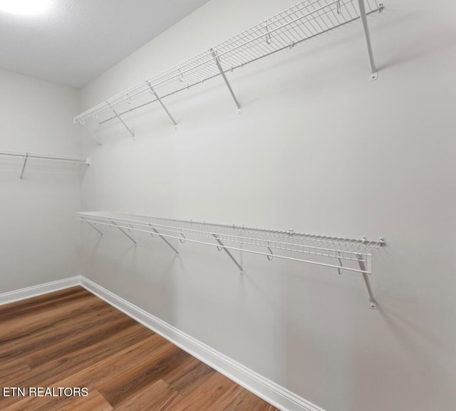 1094 W Glenview Dr, Lenoir City, TN 37771 - walk in closet featuring wood finished floors