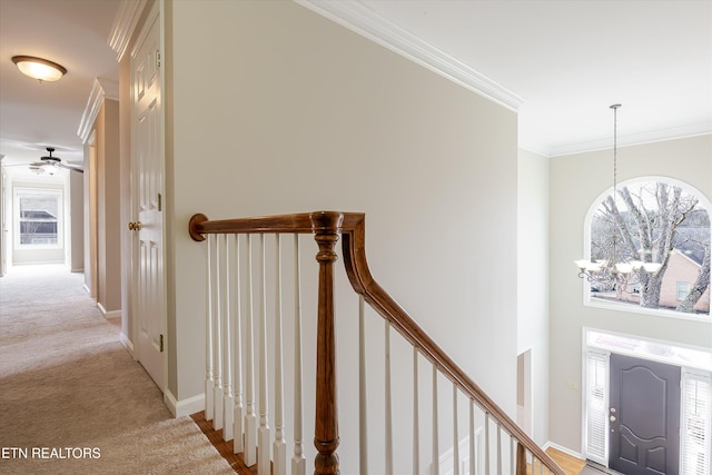 corridor with crown molding and light carpet