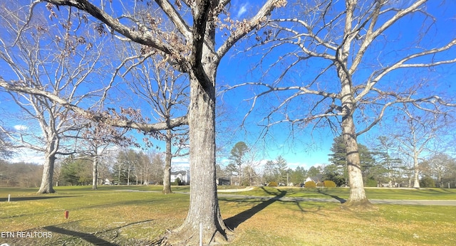 5001 Cheyenne Dr, Crossville, TN 38572 - view of grassy yard with view of scattered trees