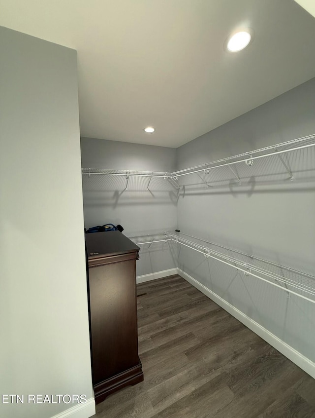 spacious closet featuring dark hardwood / wood-style floors