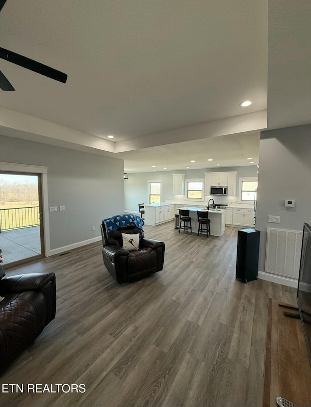 living room with wood-type flooring