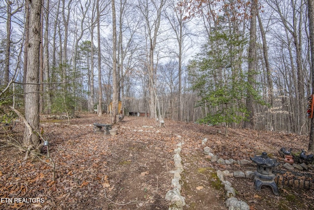 view of local wilderness