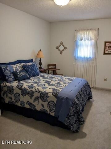 carpeted bedroom with a textured ceiling