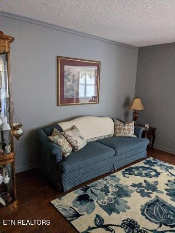 living room featuring crown molding and a textured ceiling