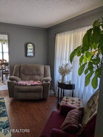 living room with hardwood / wood-style floors and a textured ceiling